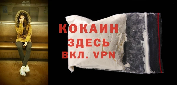 прущая мука Арсеньев