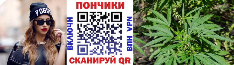 Бошки марихуана сатива KRAKEN ССЫЛКА Михайловка